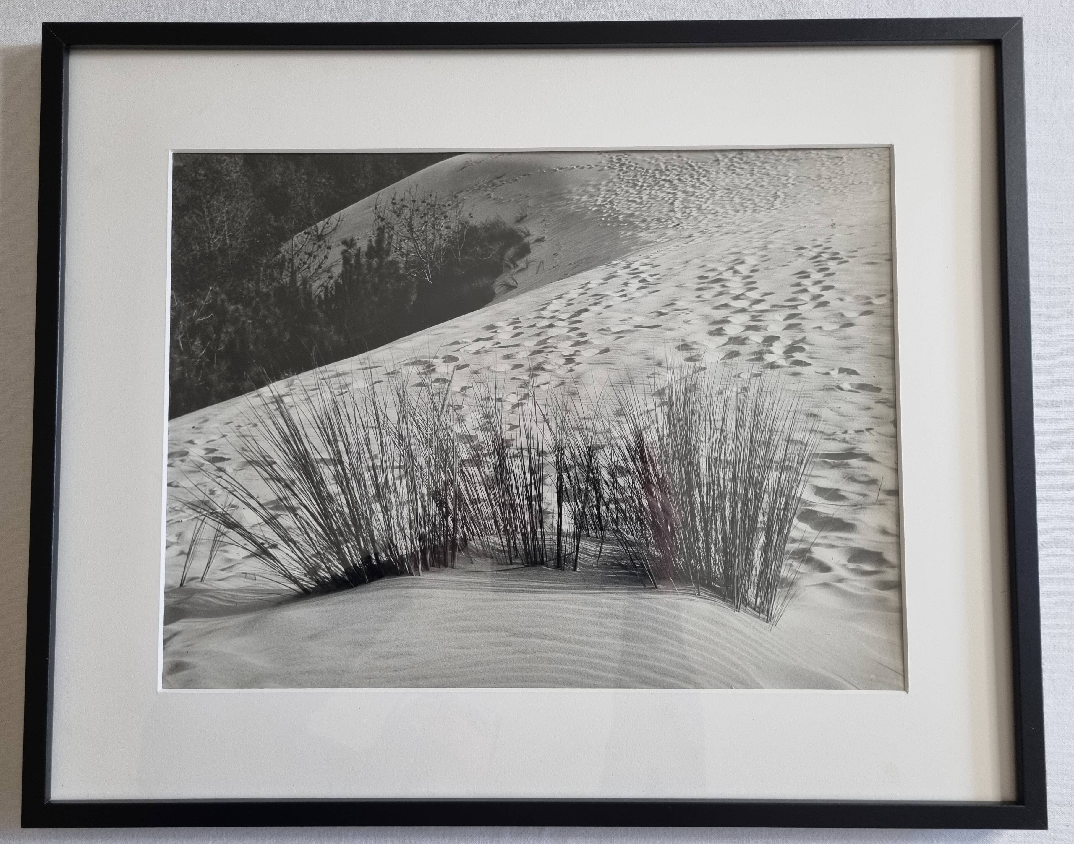 Vintage silver print photograph "The Dune" from the 1970s, framed 52x42 cm.