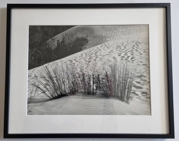 Photographie argentique vintage “La Dune” années 70  encadrée 52x42 cm