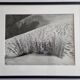 Vintage silver print photograph "The Dune" from the 1970s, framed 52x42 cm.