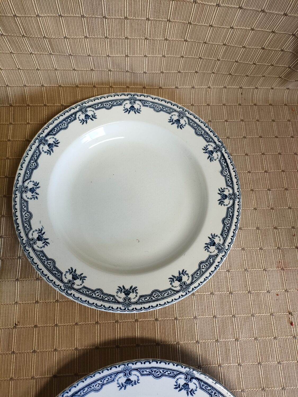 Flat plates iron earth parmentier salines