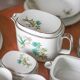 Limoges porcelain table service J.R.S Paradise bird, decor