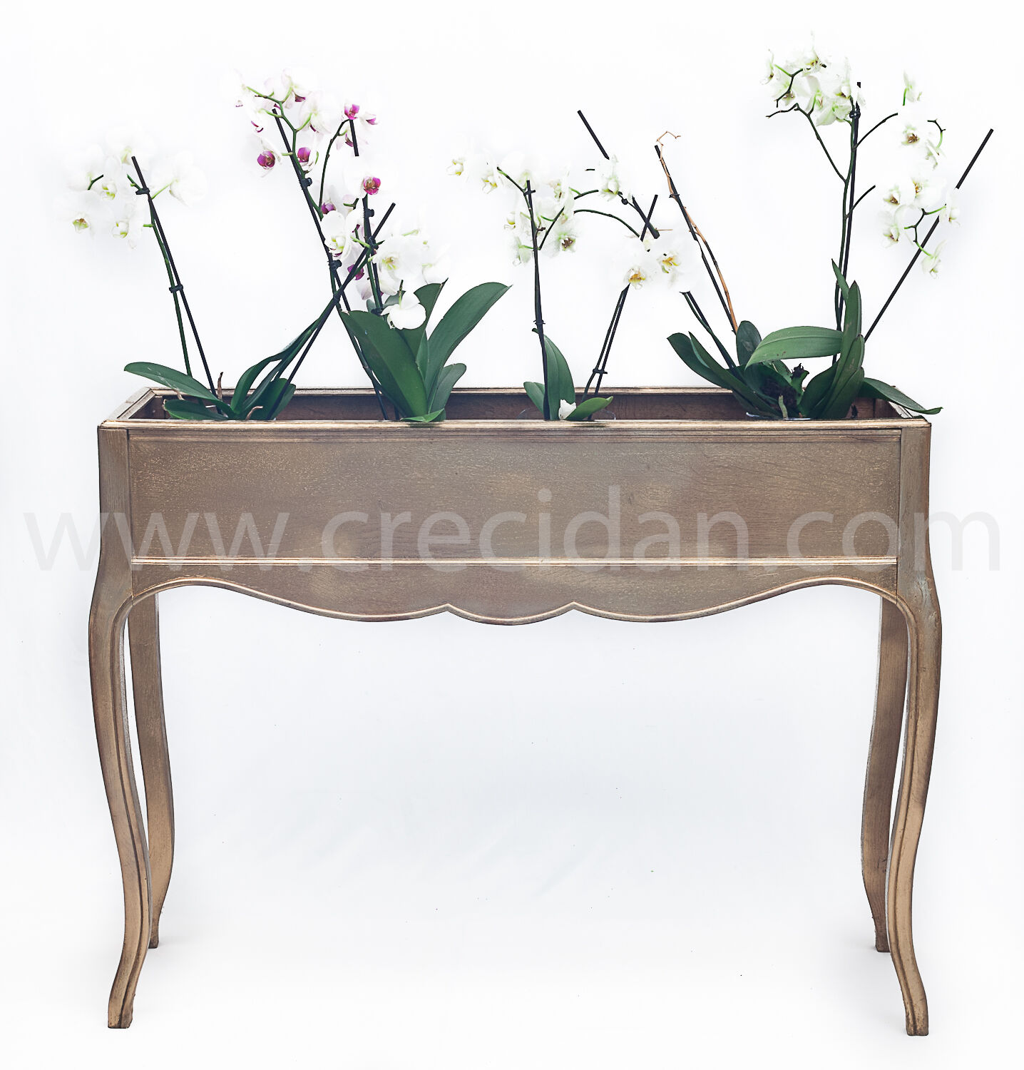 Indoor planter