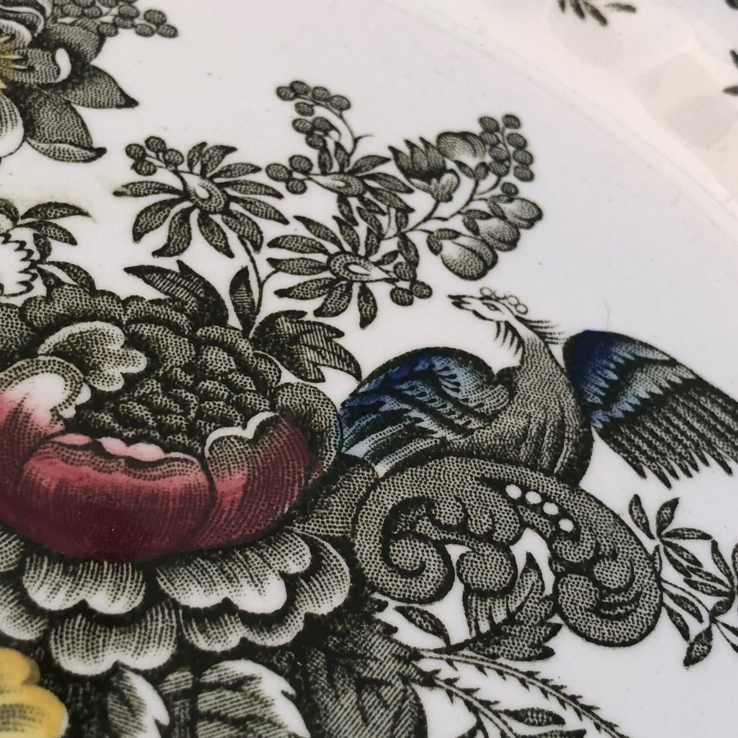 Ridgway Staffordshire England Plate