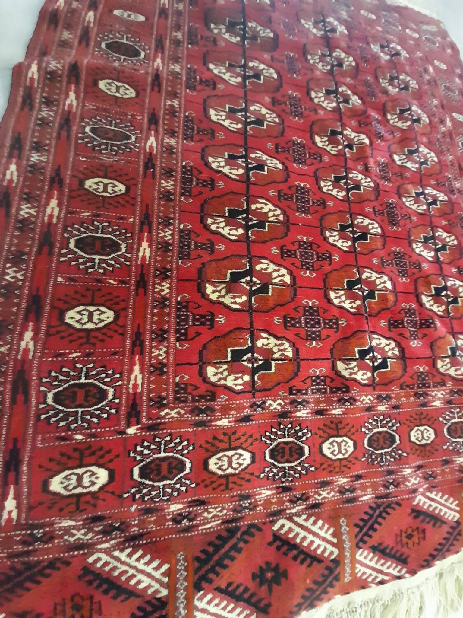 Tapis Boukhara 163x114 cm noué main