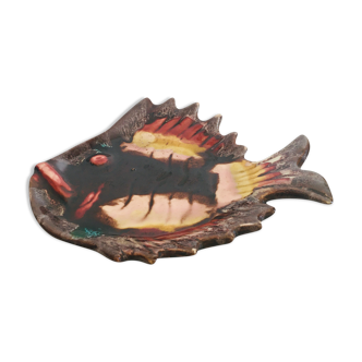 Empty pocket fish Vallauris