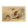 Original zoological board "tatou - cachicame - antelier tamanoir - unau " buffon 1838