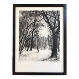 Forest under the snow, 1957. etching signed by marcel roche 1890-1959.