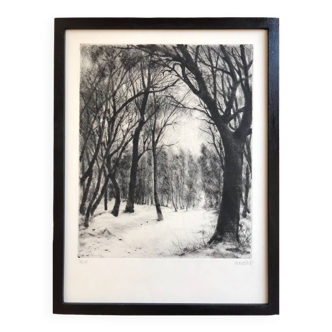 Forest under the snow, 1957. etching signed by marcel roche 1890-1959.