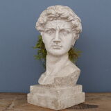 Head David in full plaster