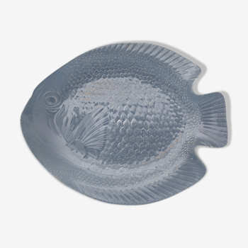 Large dish shape fish in glass