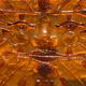 Bas-relief in fractal resin by Matius France 1970