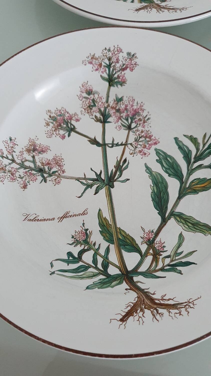 Set of 4 Villeroy and Boch plates, Botanica collection