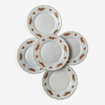 Set de 5 assiettes à dessert Arcopal mini roses