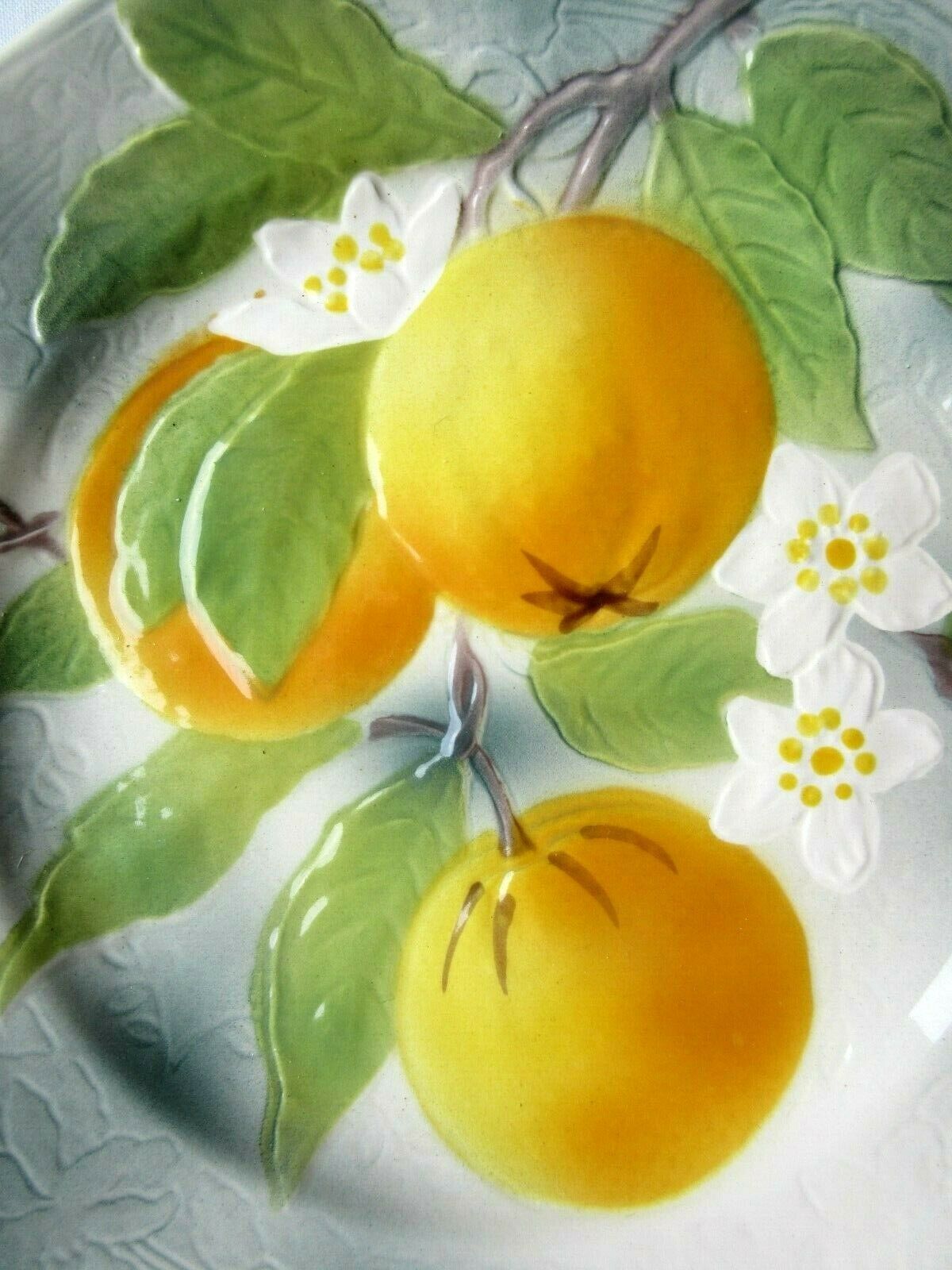 Saint Clément's dabbling plate: the Oranges