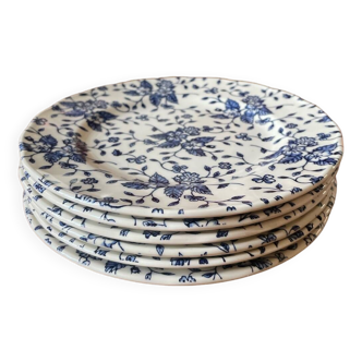 Set of 6 English earthenware plates