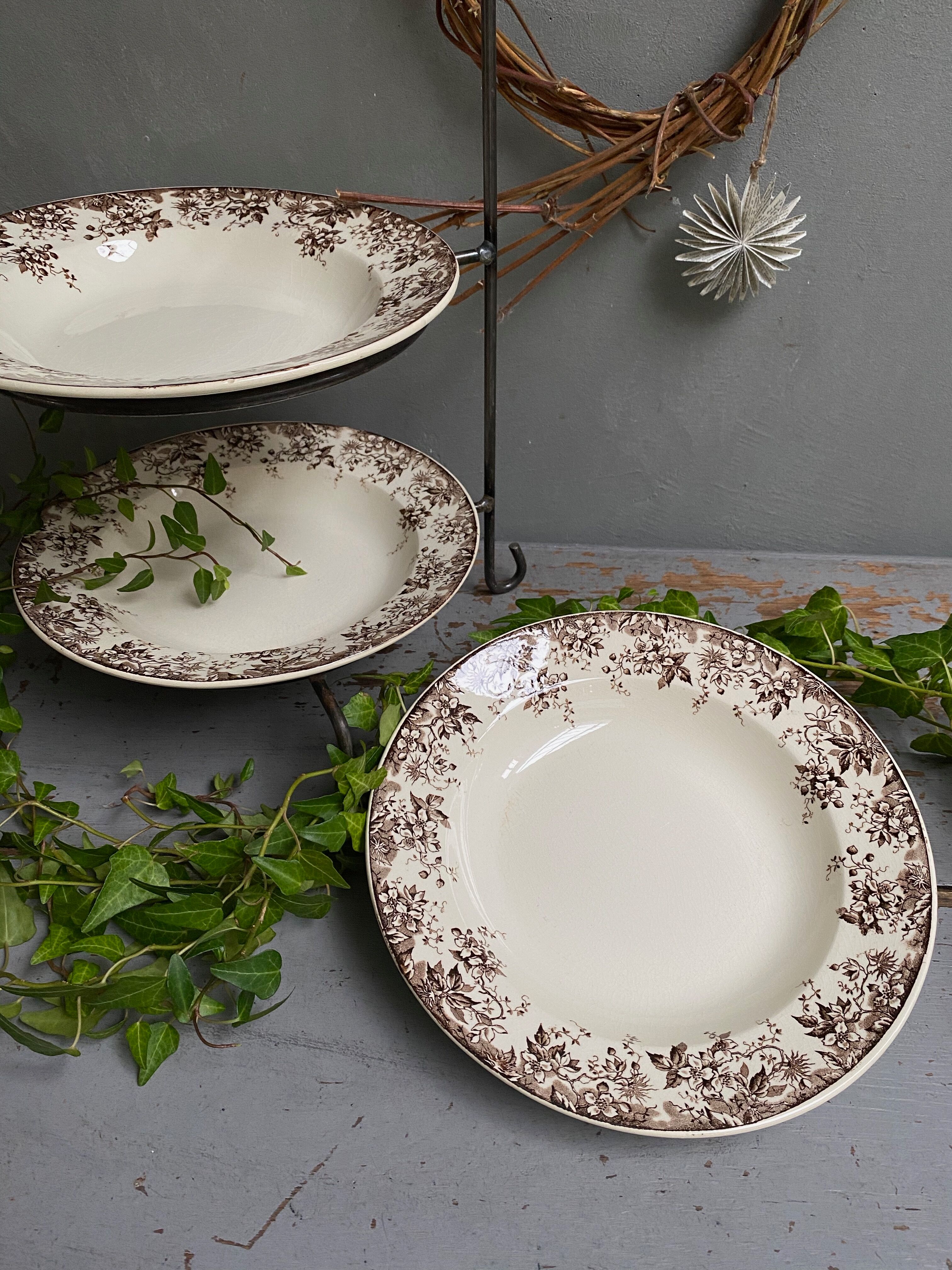 Old hollow plates earthenware of Sarreguemines