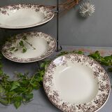 Old hollow plates earthenware of Sarreguemines