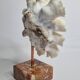Old white coral "méandrine" on marble base, 25 cm