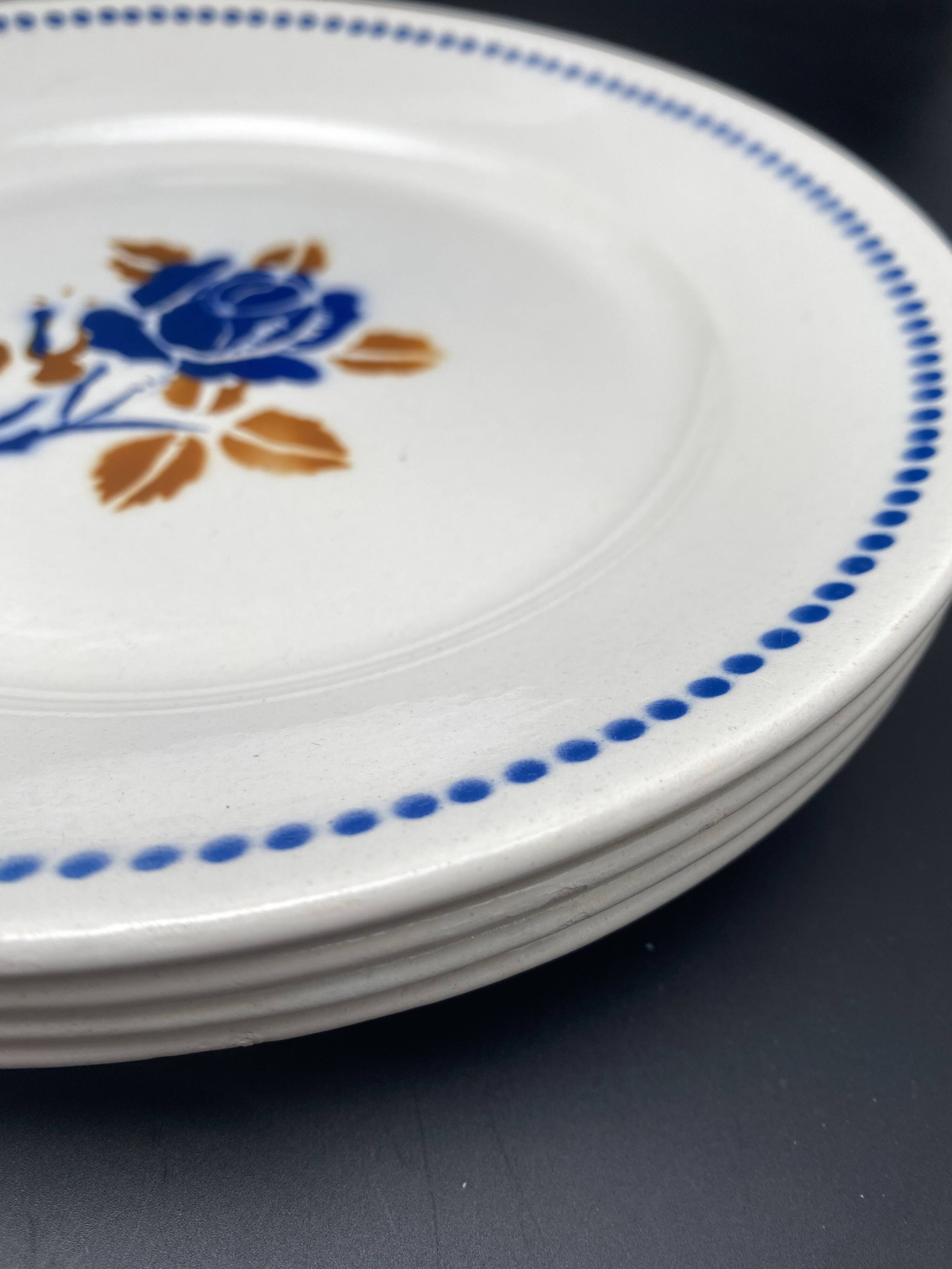 Assiettes plates badinviller vintage roses marine