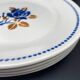 Assiettes plates badinviller vintage roses marine