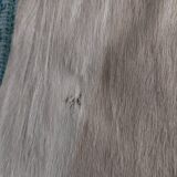 Used natural African animal skin rug (70x100cm)