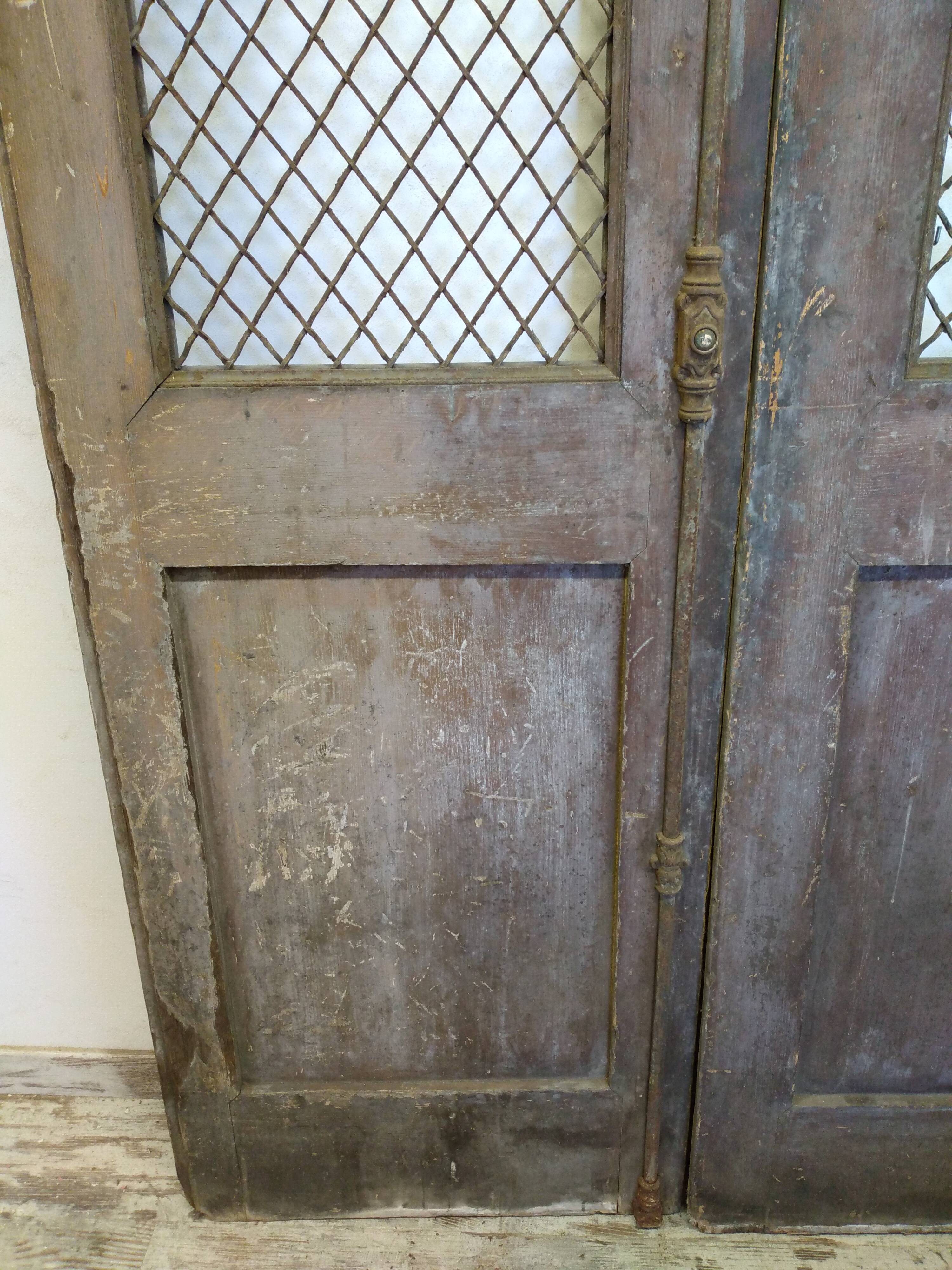 Double old mesh door