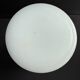 Large 19th century opaline vase