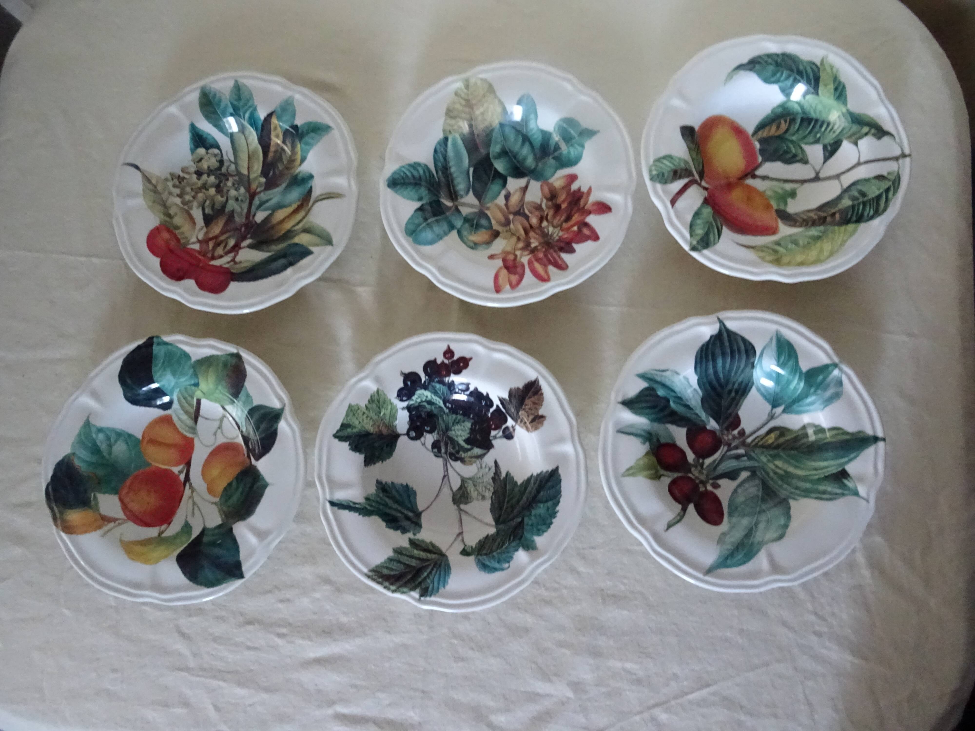 6 hollow plates fruit poetry 360112 princess line