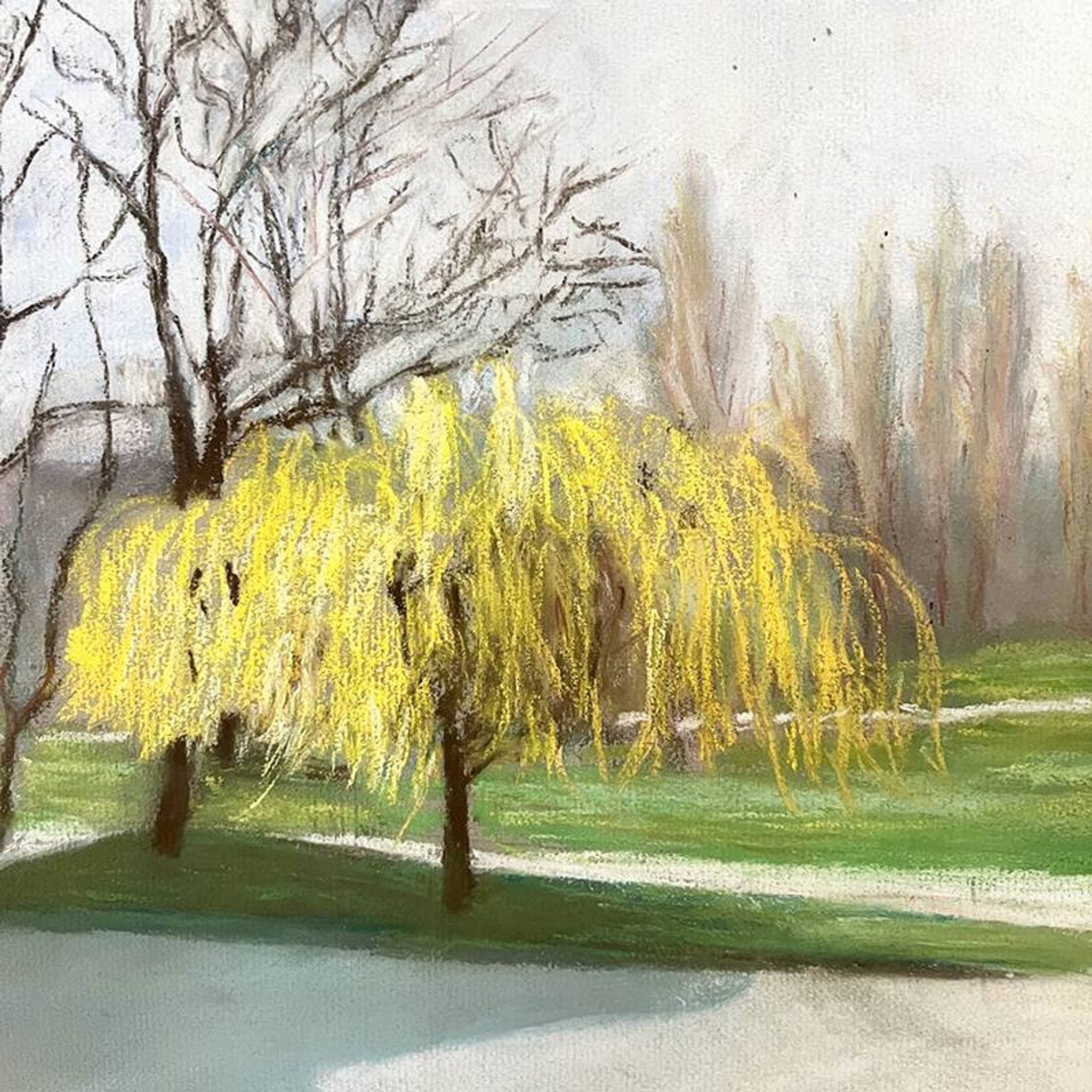 Painting "Old tree", Yvonne Fourgeaud, 1976, Pastel