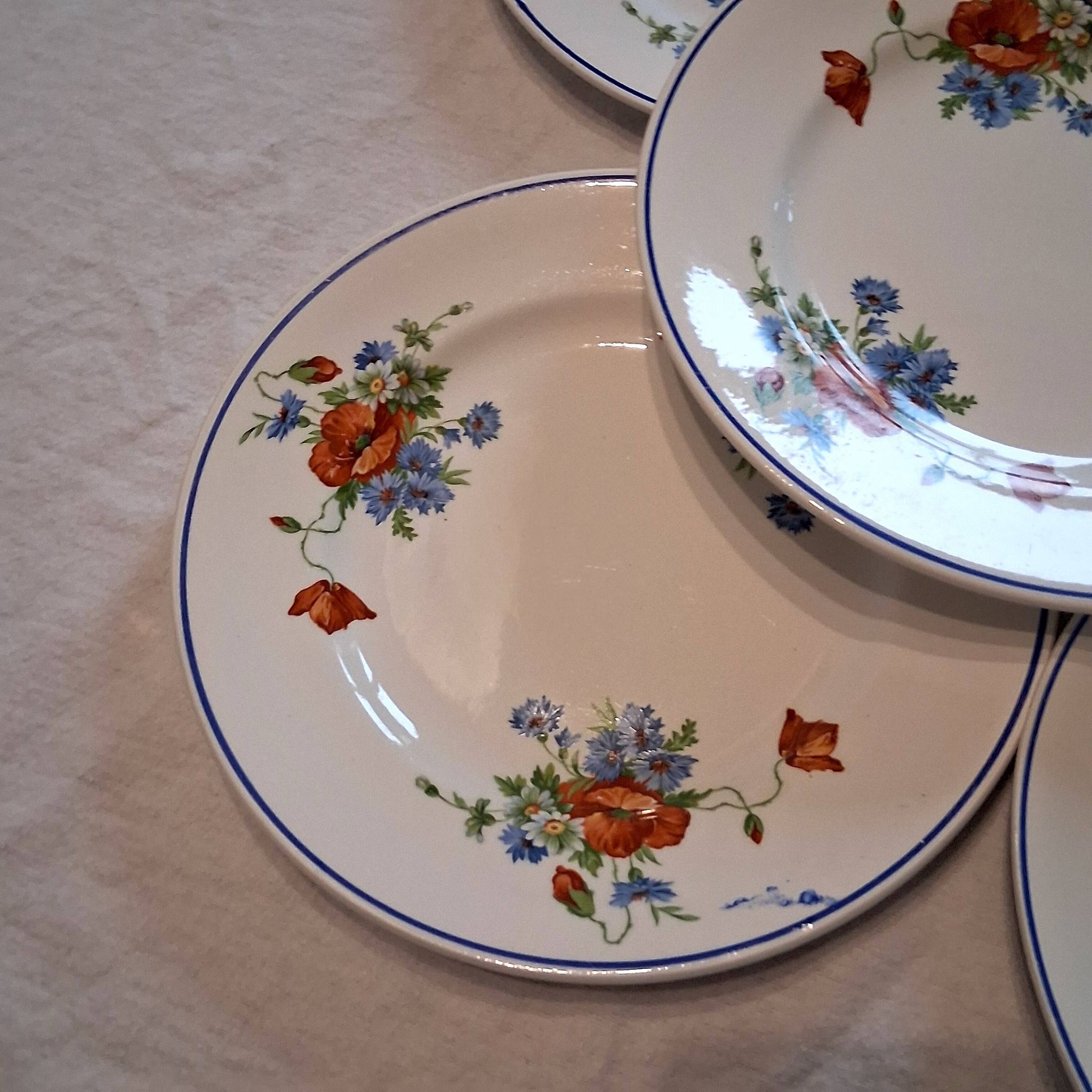 Set of 5 plates from Salins les Bains model "Poppies" in good condition.