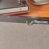 Framed herbarium illustration with a vintage effect.