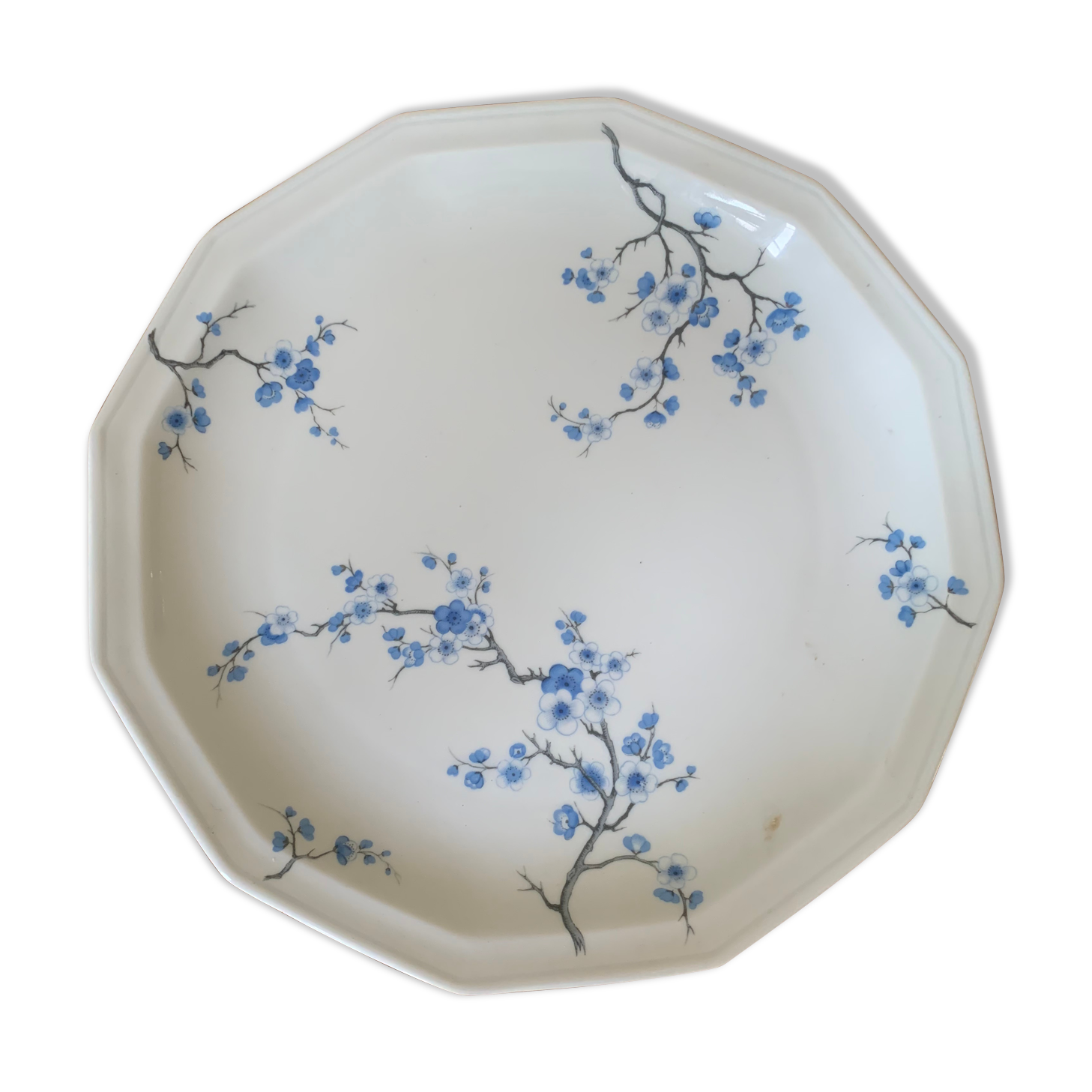 Porcelain dish from Limoges Bernardaud