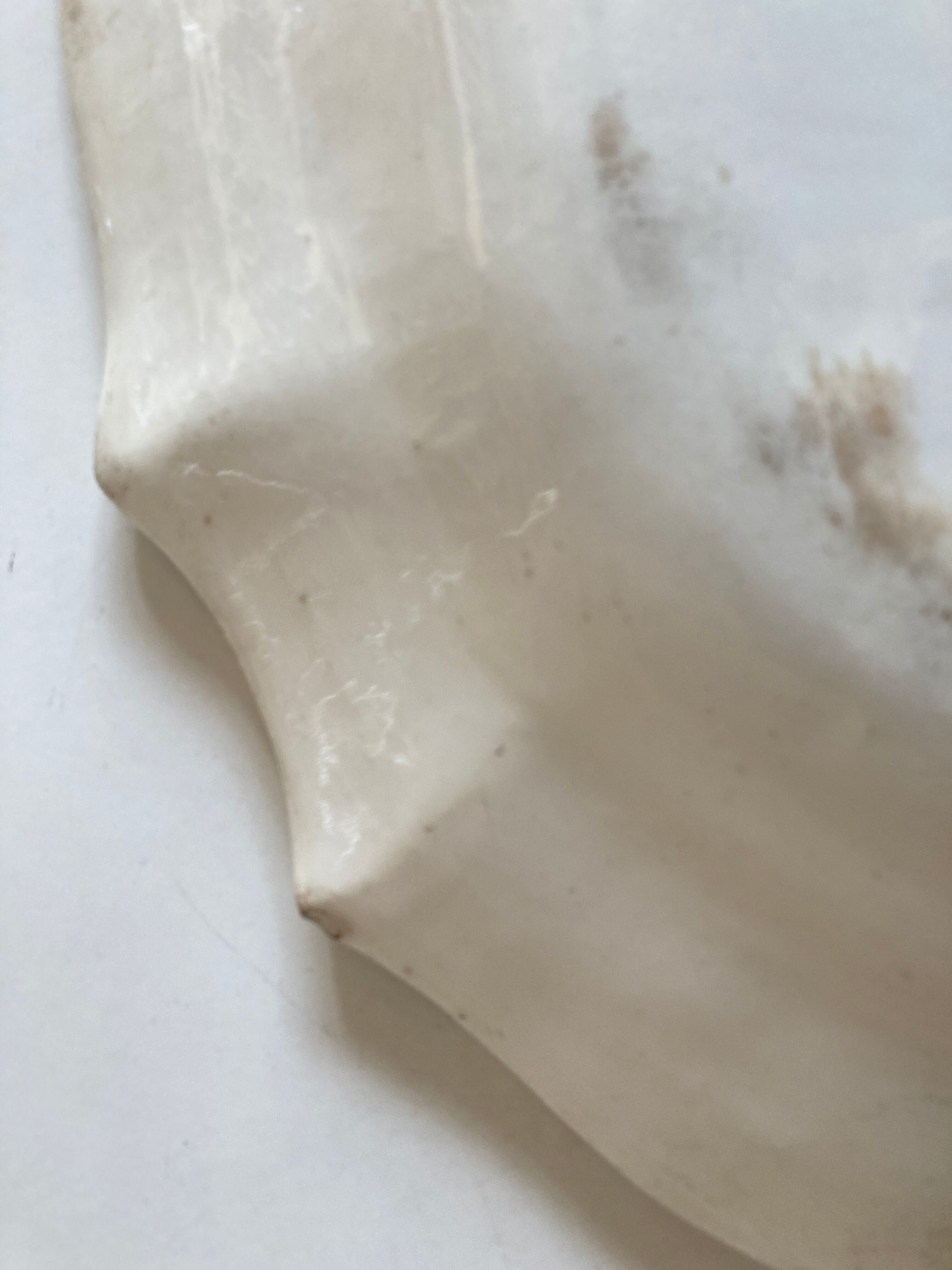 Plate in godenware 19th