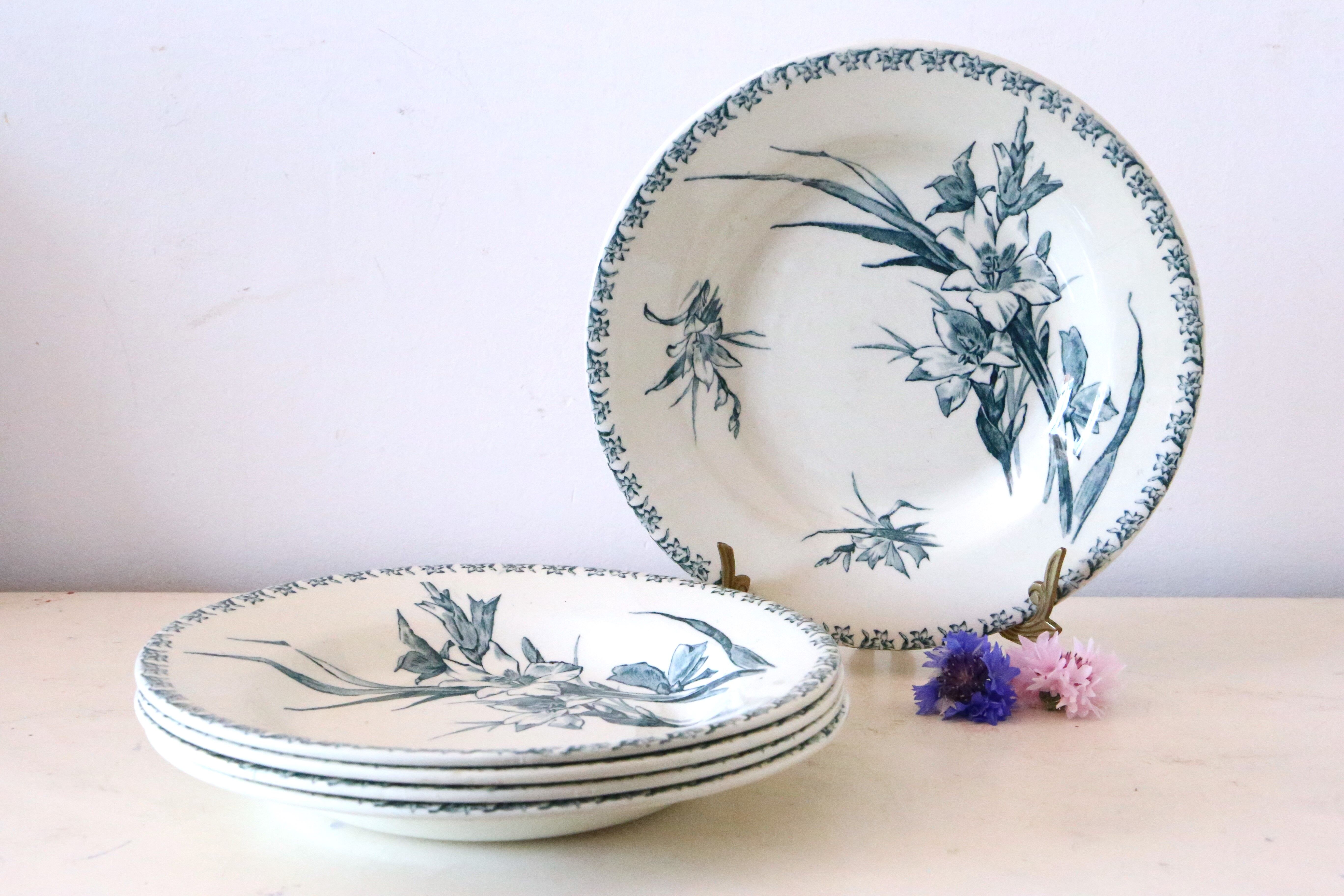 Hollow plates x5, Gien, Glaieul pattern, iron earth