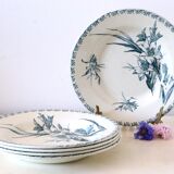 Hollow plates x5, Gien, Glaieul pattern, iron earth