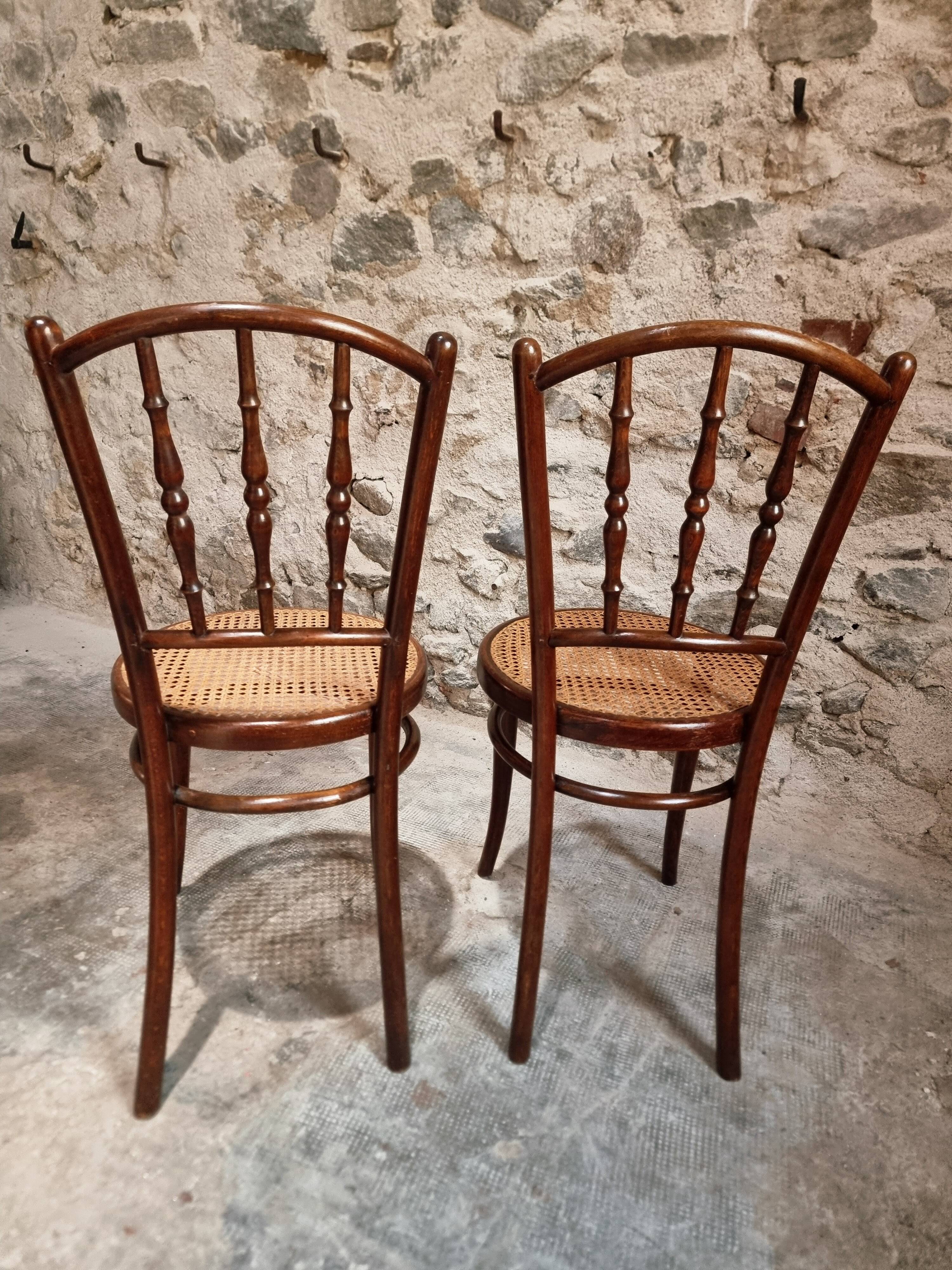 2 chaises bistrot viennoises Kohn antiques en bois courbé et cannage, Autriche vers 1900–1930