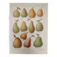 Original engraving from 1922 - Pear - Old orchard board, pear fruit