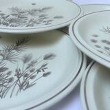 Set of 6 flat english plates