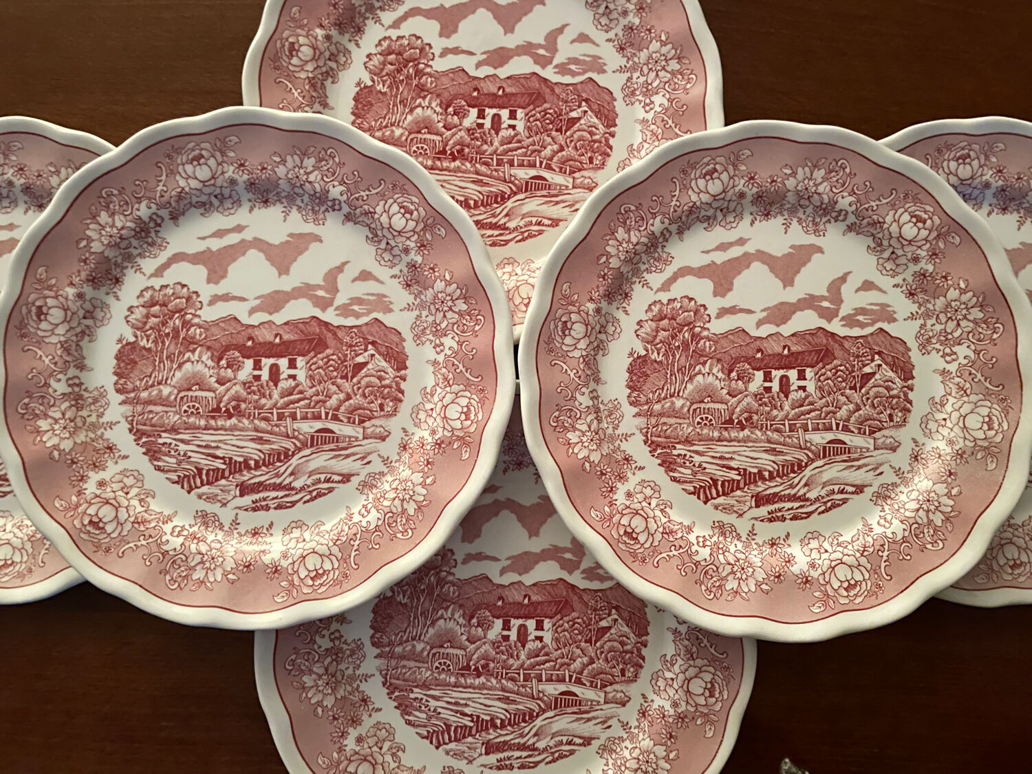 6 Fontebasso English style dinner plates