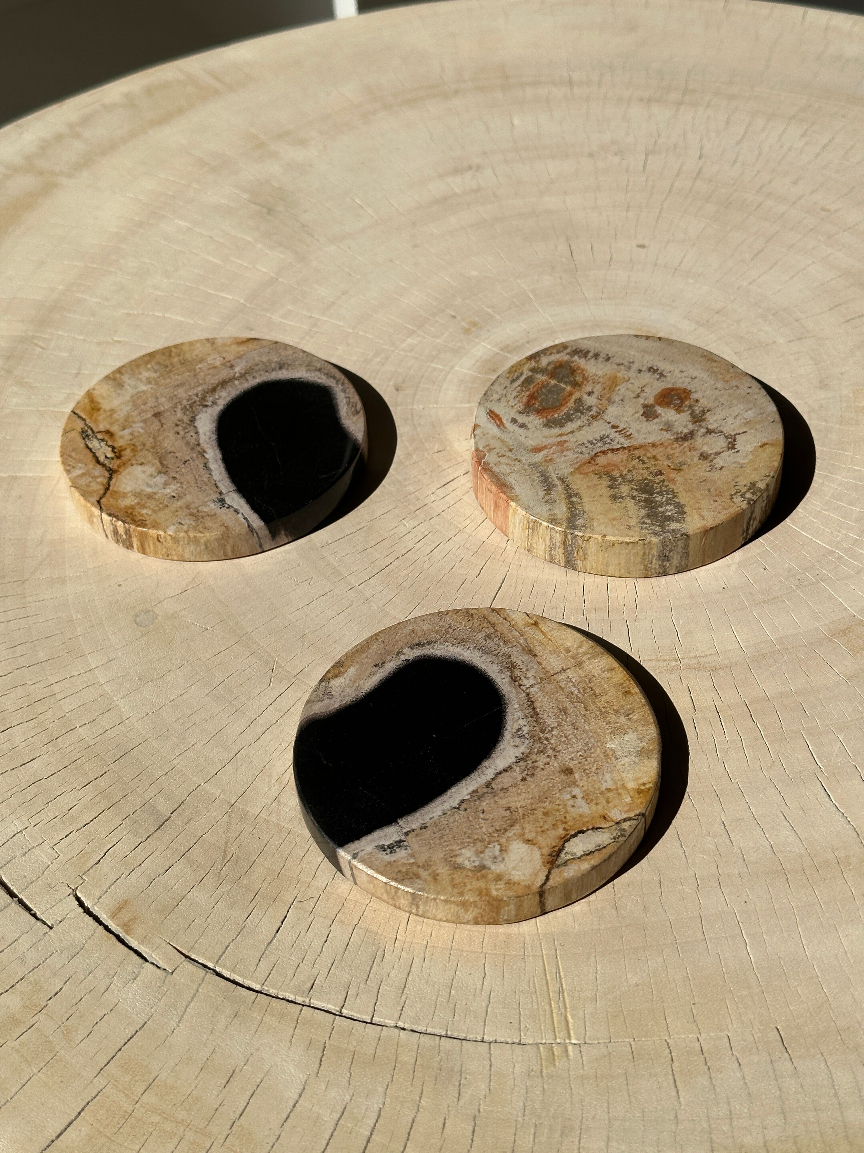 Set of 3 fossilized wooden coasters (clear)