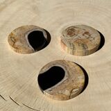 Set of 3 fossilized wooden coasters (clear)