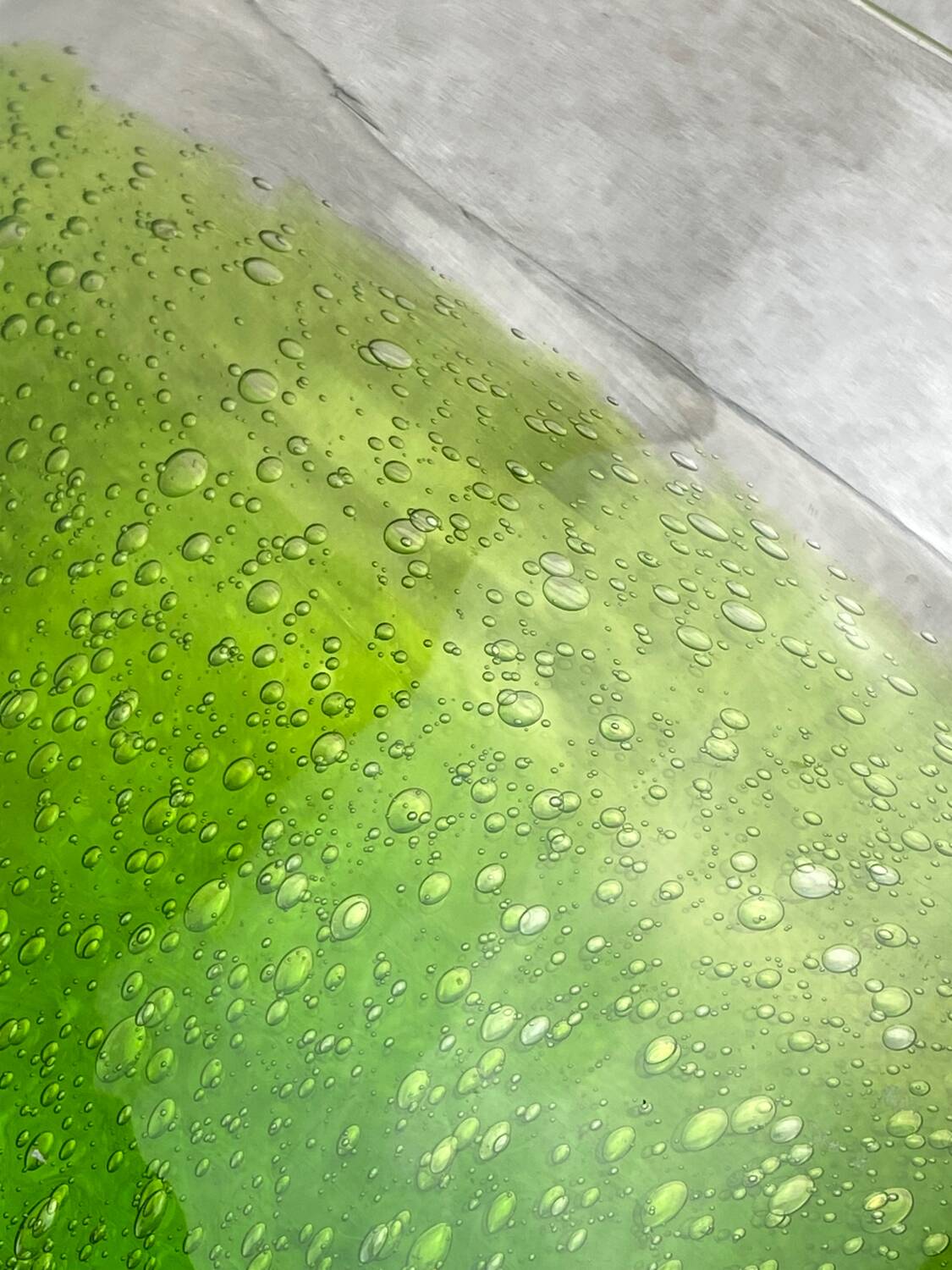 Vintage bubble glass vase