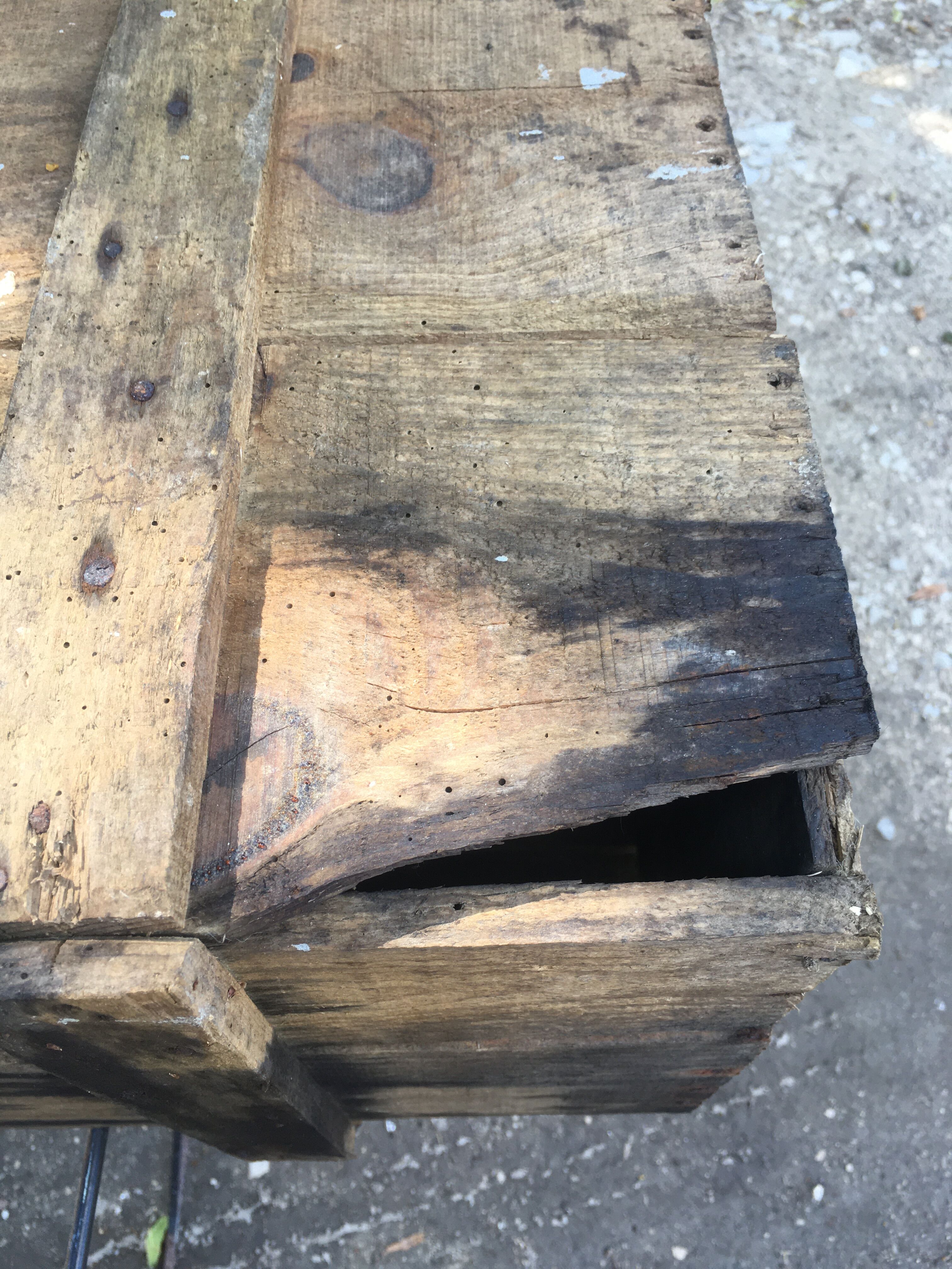 Wooden box Chocolate Foal