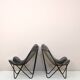 Paire de chaises Safari Vintage