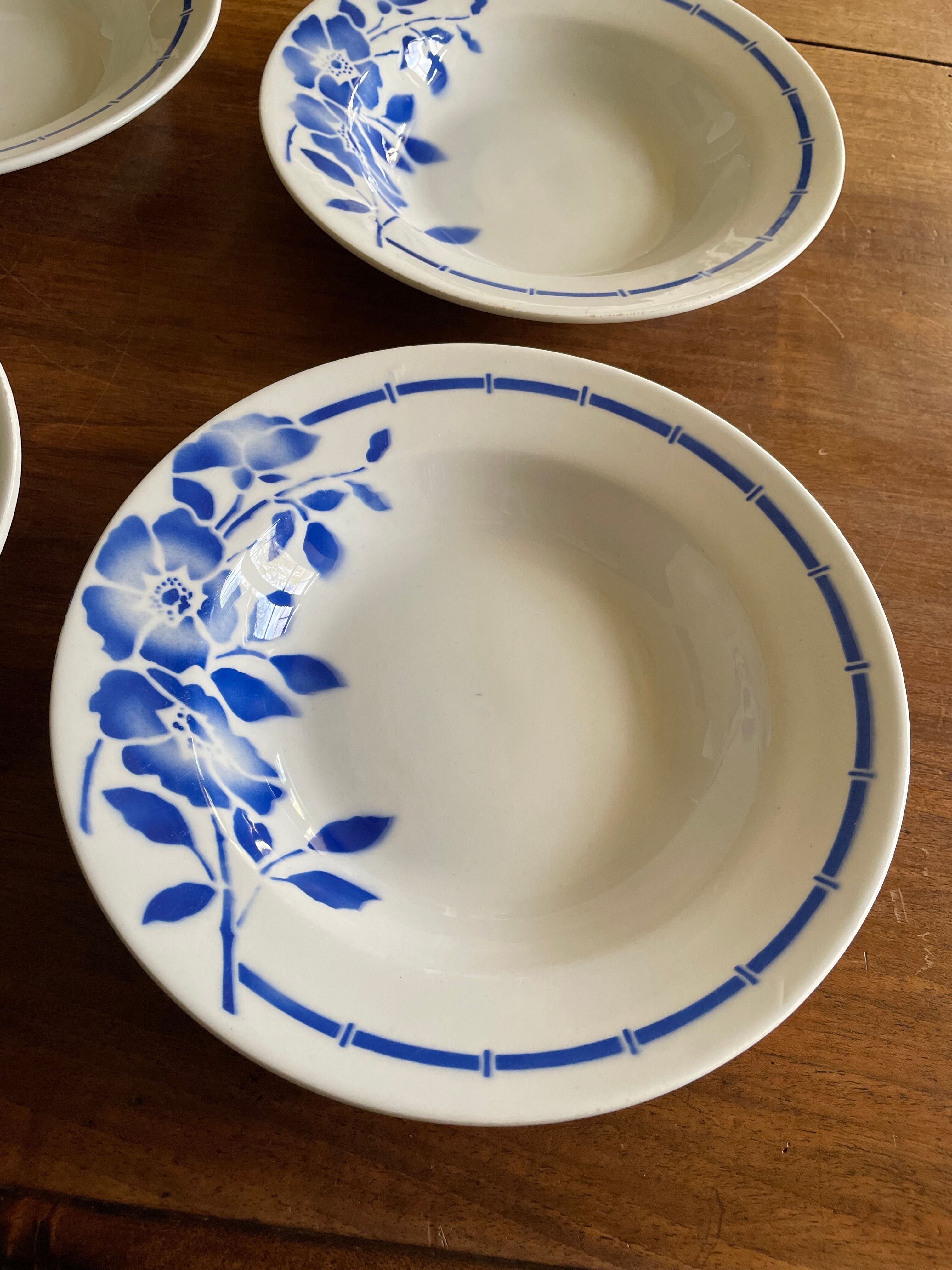 Hollow plates ceranord saint amand blue flower