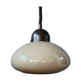 Mushroom suspension by Dijkstra