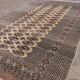 Handmade Oriental Carpet Bukhara Pakistan