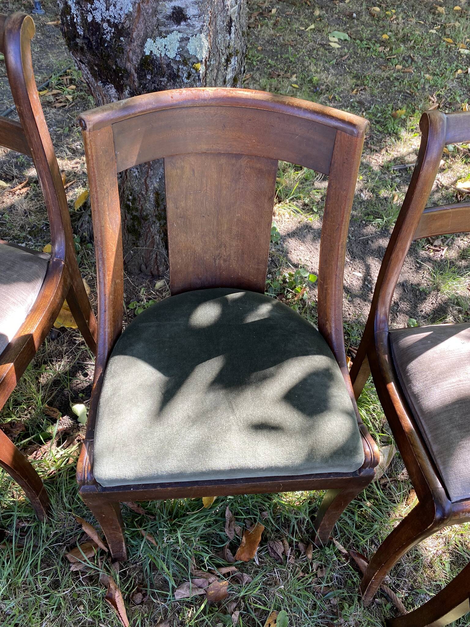 5 chairs