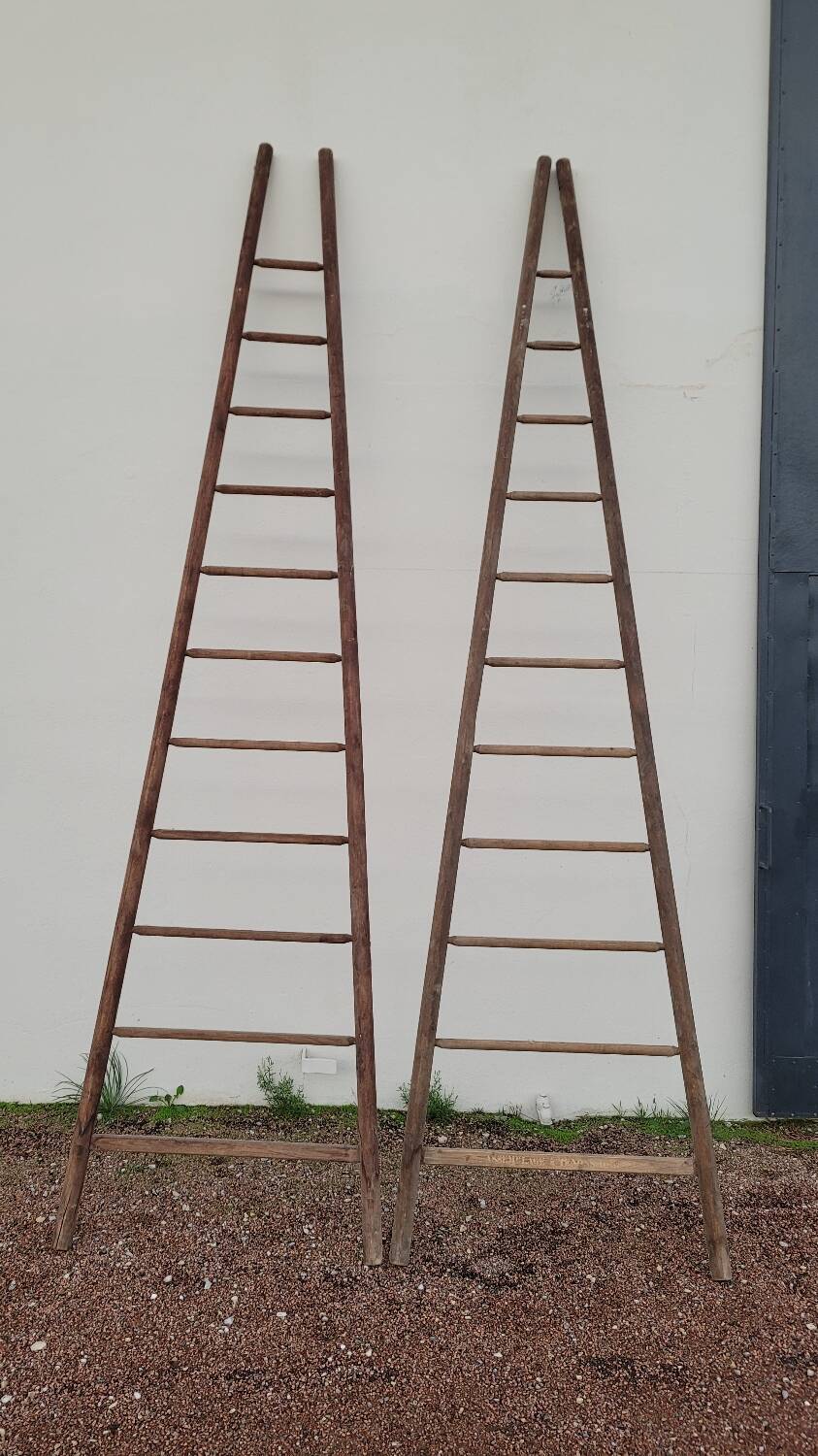 Double ladder for market gardening, fruit harvest, old wooden picking - 3m65