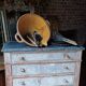Antique furniture